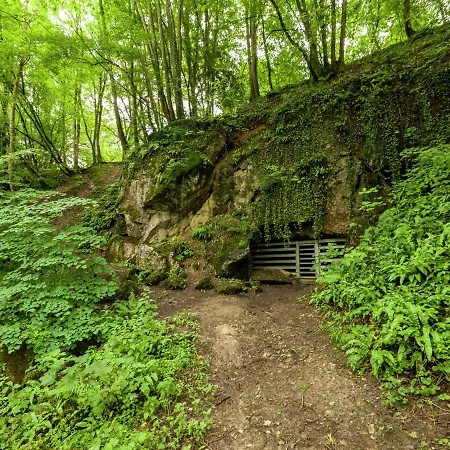 Near Durbuy Forest شقة *