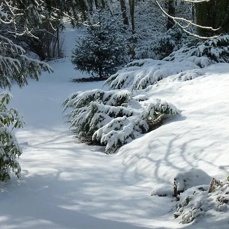 Near Durbuy Forest * بارفوكس