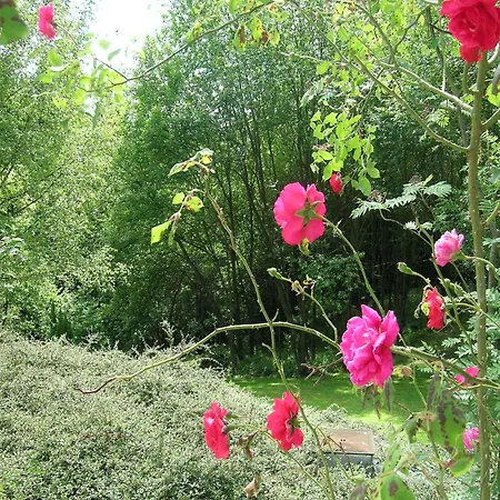 Daire Near Durbuy Forest