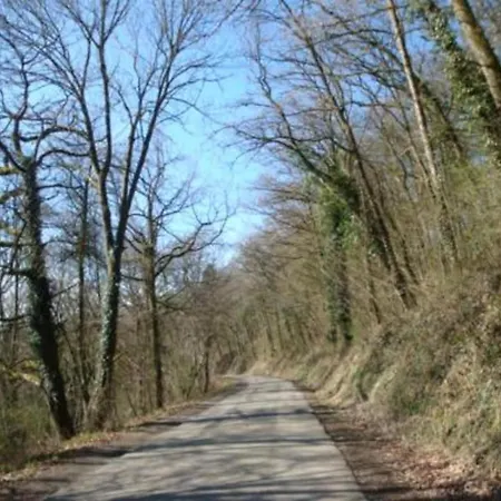Cottage Near Durbuy Forest Apartment *