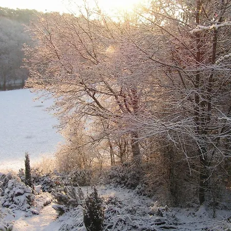 Apartment Cottage Near Durbuy Forest Barvaux