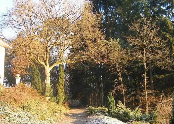 Near Durbuy Forest 巴尔沃