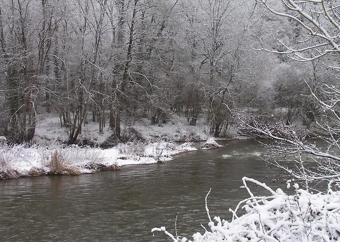 Near Durbuy Forest 公寓 *