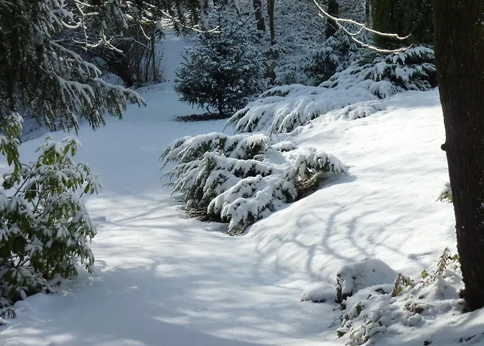 Near Durbuy Forest * 巴尔沃