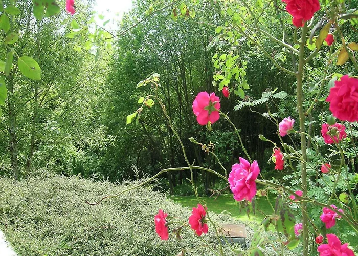 公寓 Near Durbuy Forest
