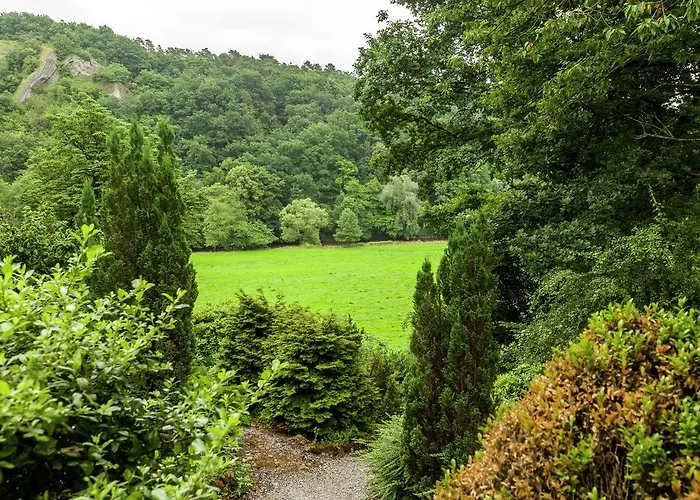 Near Durbuy Forest 公寓 *