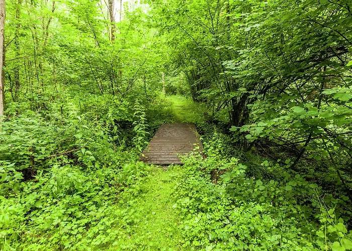 公寓 Near Durbuy Forest 巴尔沃